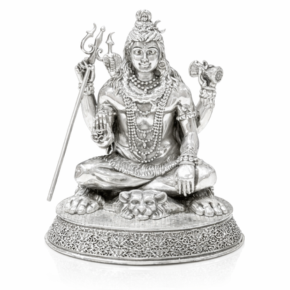 Aaradhya Mahadev Silver Idol